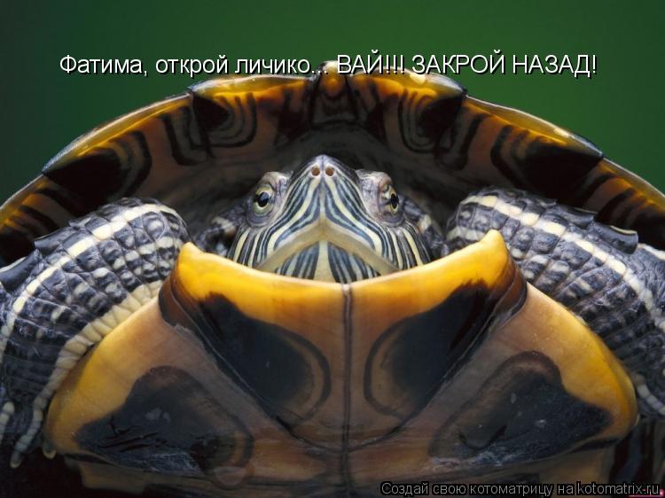 Котоматрица: Фатима, открой личико... ВАЙ!!! ЗАКРОЙ НАЗАД!