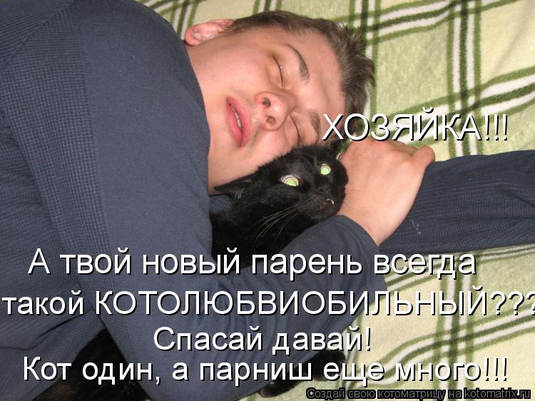 Котоматрица: ХОЗЯЙКА!!! А твой новый парень всегда такой КОТОЛЮБВИОБИЛЬНЫЙ???!!! Спасай давай!  Кот один, а парниш еще много!!!