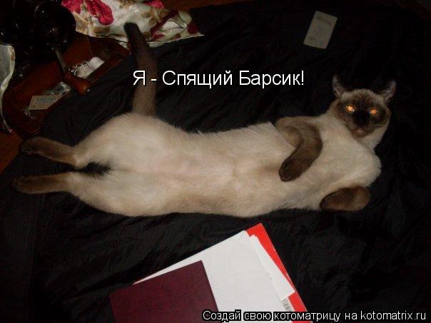 Котоматрица: Я - Спящий Барсик!