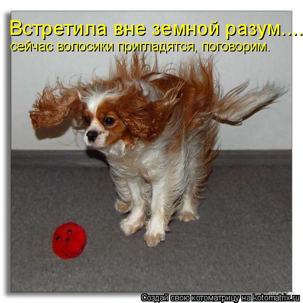 Встретила вне земной разум.... сейчас волосики пригладятся, поговорим.... Котоматрица: Встретила вне земной разум.... сейчас волосики пригладятся, поговорим.
