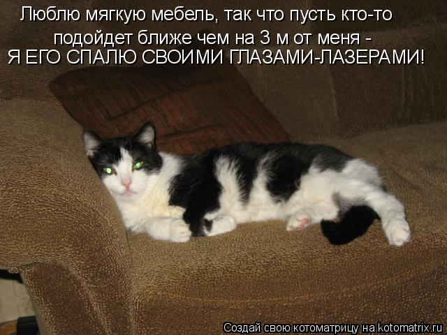 Люблю мягкую мебель, так что пусть кто-то подойдет ближе чем на 3 м от меня - Я ЕГО СПАЛЮ СВОИМИ ГЛ... Котоматрица: Люблю мягкую мебель, так что пусть кто-то подойдет ближе чем на 3 м от меня - Я ЕГО СПАЛЮ СВОИМИ ГЛАЗАМИ-ЛАЗЕРАМИ!