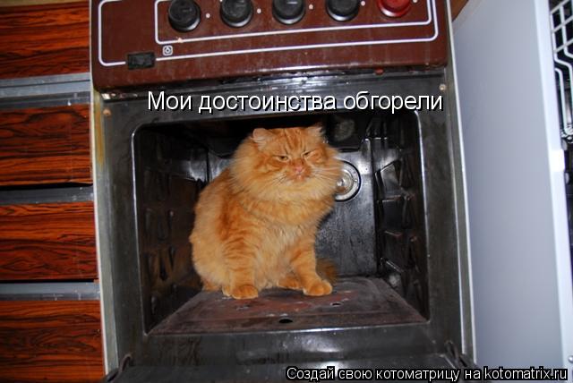 Мои достоинства обгорели... Котоматрица: Мои достоинства обгорели
