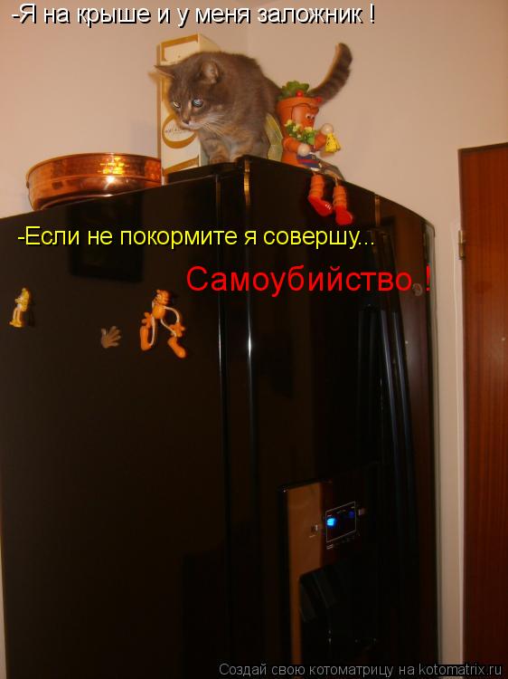 -Я на крыше и у меня заложник ! -Если не покормите я совершу... Самоубийство !... Котоматрица: -Я на крыше и у меня заложник ! -Если не покормите я совершу... Самоубийство !