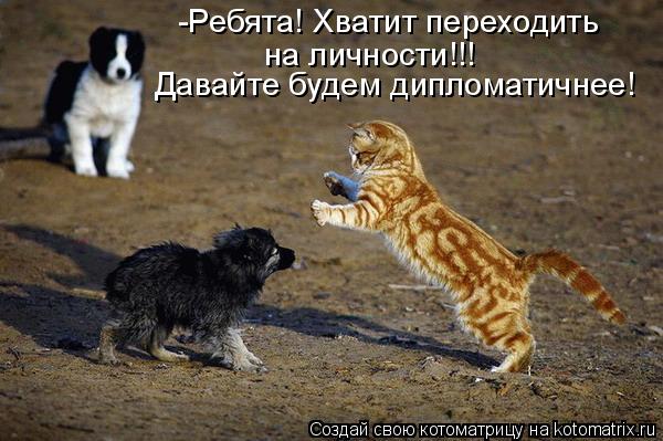 Котоматрица: -Ребята! Хватит переходить на личности!!! Давайте будем дипломатичнее!