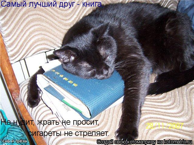 Самый лучший друг - книга, Не нудит, жрать не просит, сигареты не стреляет.... Котоматрица: Самый лучший друг - книга, Не нудит, жрать не просит, сигареты не стреляет.