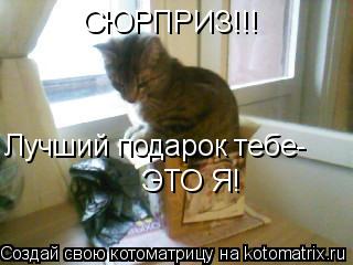 СЮРПРИЗ!!! Лучший подарок тебе- ЭТО Я!... Котоматрица: СЮРПРИЗ!!! Лучший подарок тебе- ЭТО Я!