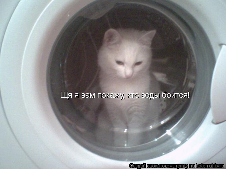 Котоматрица: Щя я вам покажу, кто воды боится!
