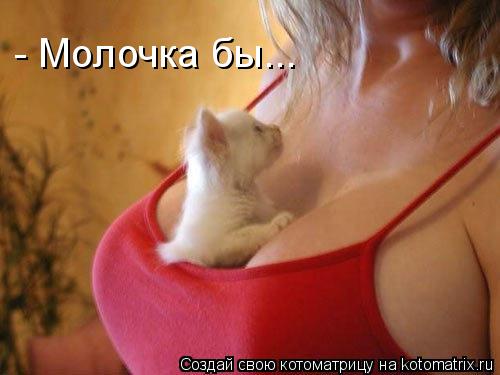 - Молочка бы...... Котоматрица: - Молочка бы...