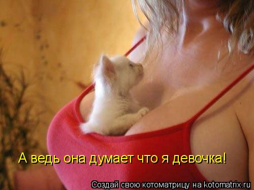 А ведь она думает что я девочка!... Котоматрица: А ведь она думает что я девочка!