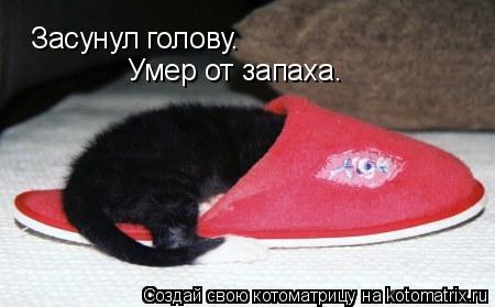Котоматрица: Засунул голову. Умер от запаха.