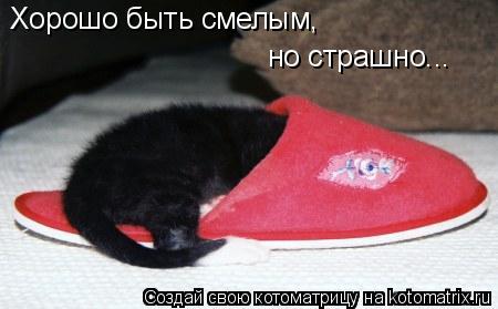 Хорошо быть смелым, но страшно...... Котоматрица: Хорошо быть смелым, но страшно...