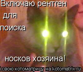 Включаю рентген для поиска носков хозяина!... Котоматрица: Включаю рентген для поиска носков хозяина!