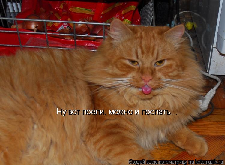 Ну вот поели, можно и поспать...... Котоматрица: Ну вот поели, можно и поспать...