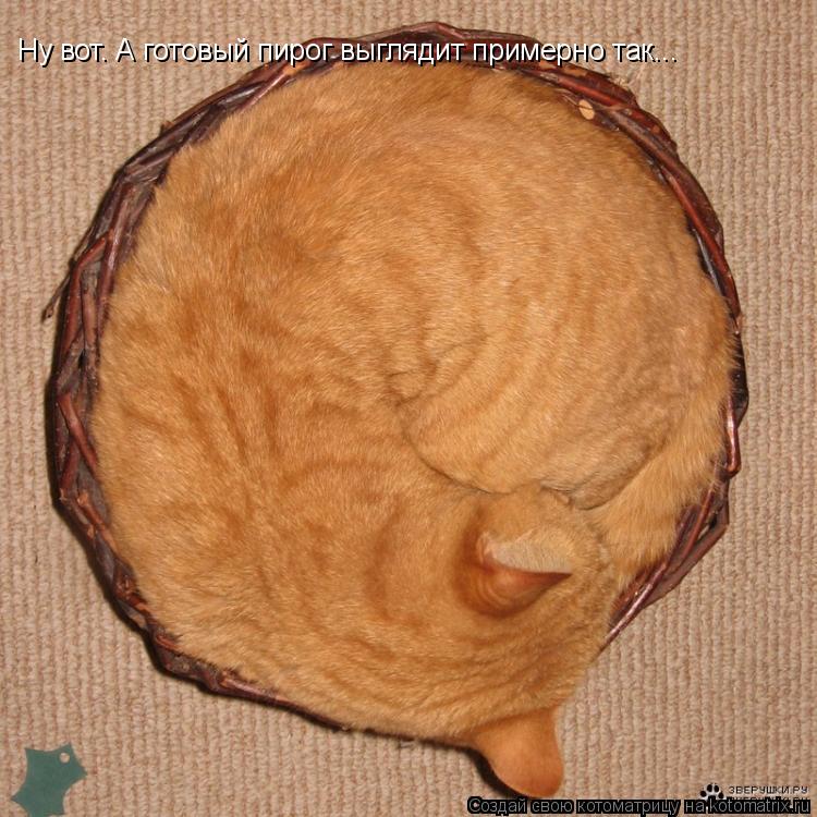 Котоматрица: Ну вот. А готовый пирог выглядит примерно так...