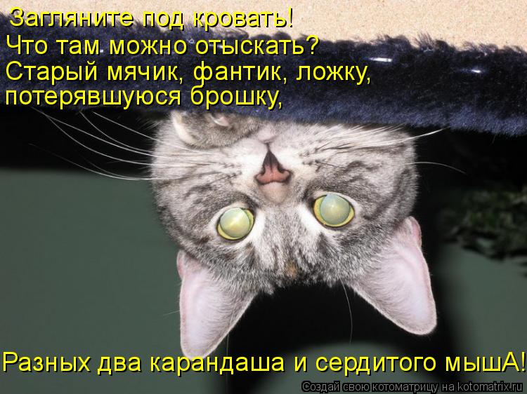 Загляните под кровать! Что там можно отыскать? Старый мячик, фантик, ложку, потерявшуюся брошку, Ра... Котоматрица: Загляните под кровать! Что там можно отыскать? Старый мячик, фантик, ложку, потерявшуюся брошку, Разных два карандаша и сердитого мышА!
