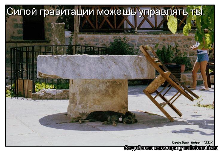 Силой гравитации можешь управлять ты.... Котоматрица: Силой гравитации можешь управлять ты.