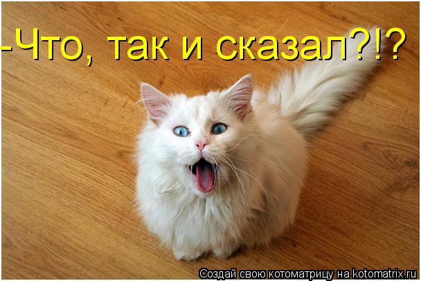 Котоматрица: -Что, так и сказал?!?