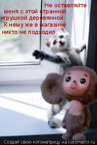 Не оставляйте меня с этой странной игрушкой деревянной К нему же в магазине никто не подходил... Котоматрица: Не оставляйте меня с этой странной игрушкой деревянной К нему же в магазине никто не подходил