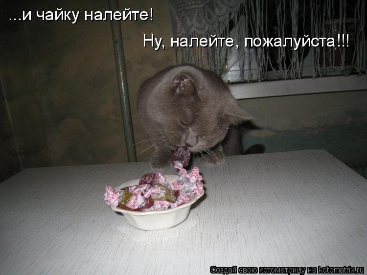 Котоматрица: ...и чайку налейте! Ну, налейте, пожалуйста!!!