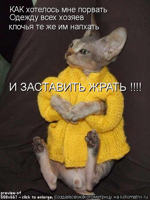КАК хотелось мне порвать КАК хотелось мне порвать клочья те же им напхать Одежду всех хозяев И... Котоматрица: КАК хотелось мне порвать КАК хотелось мне порвать клочья те же им напхать Одежду всех хозяев И ЗАСТАВИТЬ ЖРАТЬ !!!!