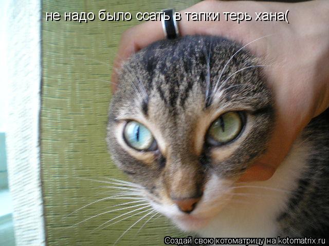 не надо было ссать в тапки терь хана(... Котоматрица: не надо было ссать в тапки терь хана(