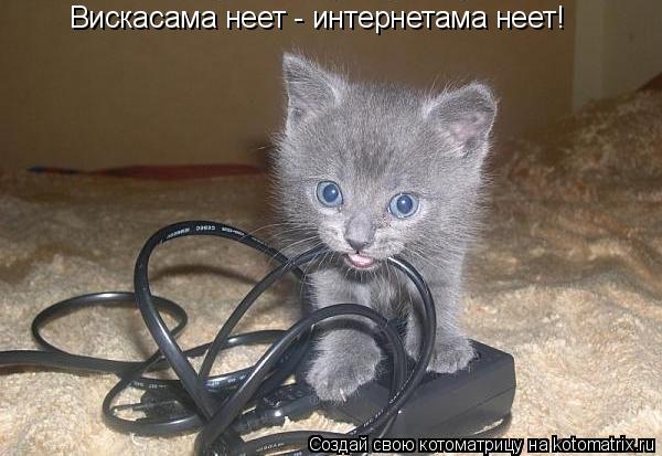 Вискасама неет - интернетама неет!... Котоматрица: Вискасама неет - интернетама неет!