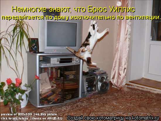 Немногие знают, что Брюс Уиллис передвигается по дому исключительно по вентиляции.... Котоматрица: Немногие знают, что Брюс Уиллис передвигается по дому исключительно по вентиляции.