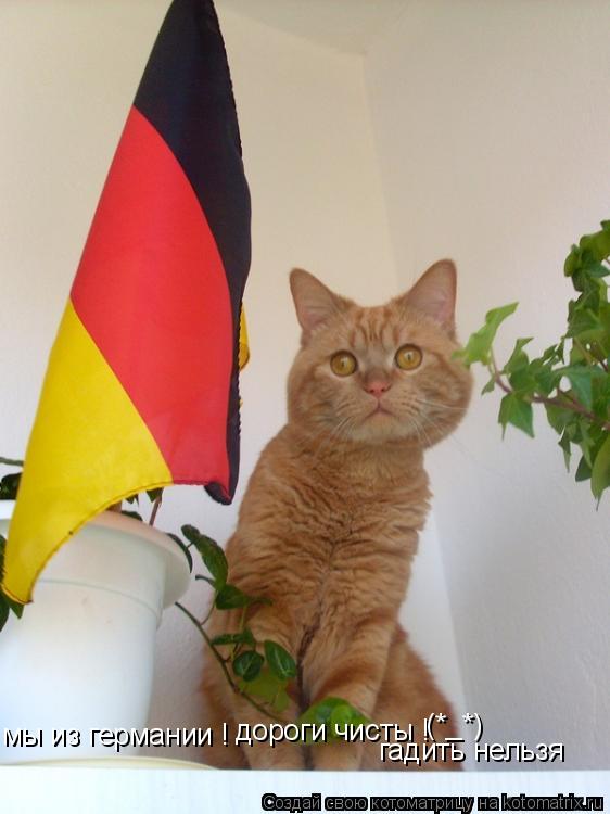 мы из германии ! дороги чисты ! я (*_*) гадить нельзя... Котоматрица: мы из германии ! дороги чисты ! я (*_*) гадить нельзя