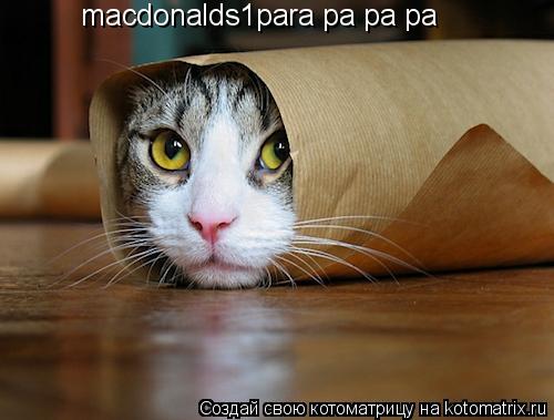 Котоматрица: macdonalds1para pa pa pa