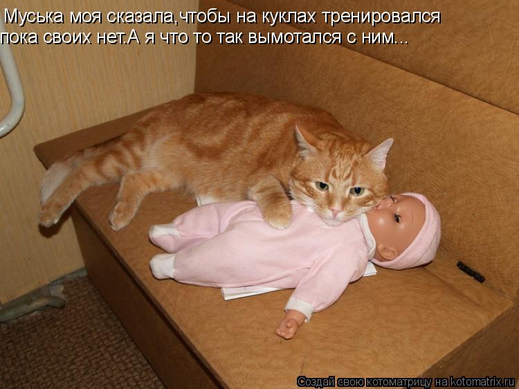 Муська моя сказала,чтобы на куклах тренировался пока своих нет.А я что то так вымотался с ним...... Котоматрица: Муська моя сказала,чтобы на куклах тренировался пока своих нет.А я что то так вымотался с ним...
