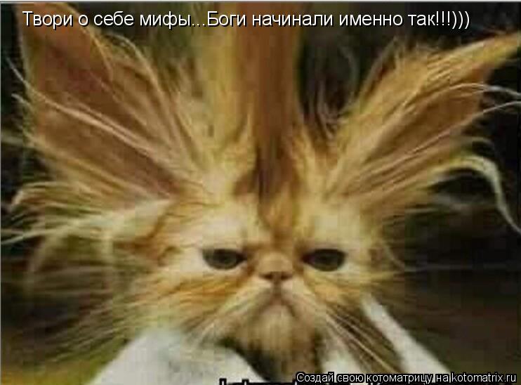 Твори о себе мифы...Боги начинали именно так!!!)))... Котоматрица: Твори о себе мифы...Боги начинали именно так!!!)))
