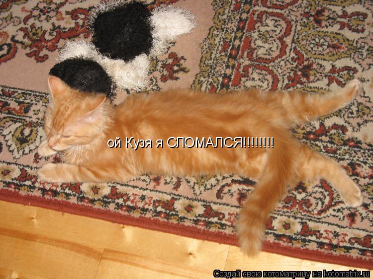 Котоматрица: ой Кузя я СЛОМАЛСЯ!!!!!!!!
