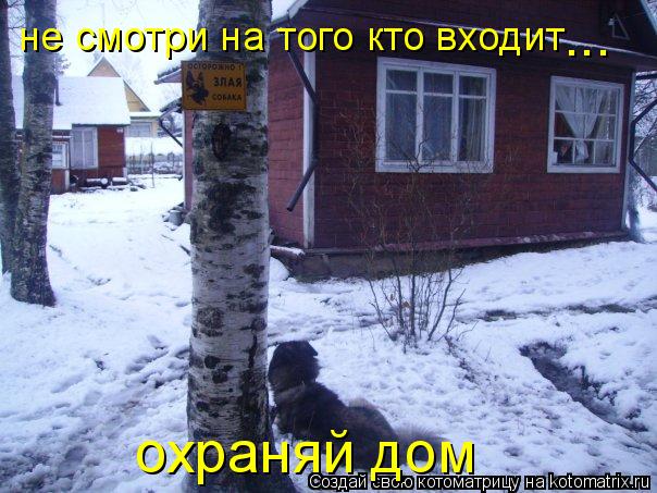 не смотри на того кто входит охраняй дом ...... Котоматрица: не смотри на того кто входит охраняй дом ...