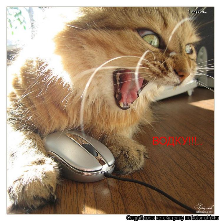1 января... ВОДКУ!!!..... Котоматрица: 1 января... ВОДКУ!!!..