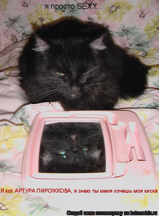 я просто SEXY... Я кот АРТУРА ПИРОЖКОВА, я знаю ты меня хочешь моя киска... Котоматрица: я просто SEXY... Я кот АРТУРА ПИРОЖКОВА, я знаю ты меня хочешь моя киска