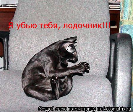 Я убью тебя, лодочник!!!... Котоматрица: Я убью тебя, лодочник!!!