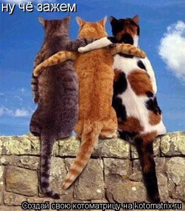 ну чё зажем... Котоматрица: ну чё зажем