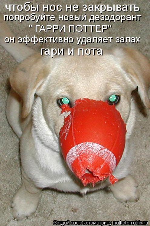 чтобы нос не закрывать попробуйте новый дезодорант " ГАРРИ ПОТТЕР" он эффективно удаляет запах гари и... Котоматрица: чтобы нос не закрывать попробуйте новый дезодорант " ГАРРИ ПОТТЕР" он эффективно удаляет запах гари и пота