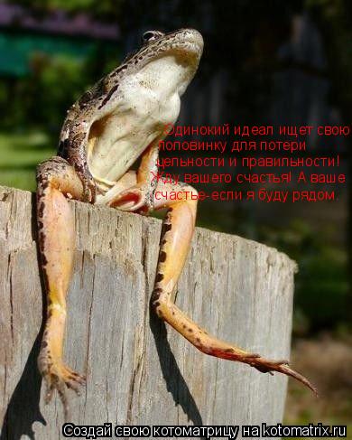 Одинокий идеал ищет свою половинку для потери цельности и правильности! Жду вашего счастья! А ваше сч... Котоматрица: Одинокий идеал ищет свою половинку для потери цельности и правильности! Жду вашего счастья! А ваше счастье-если я буду рядом.