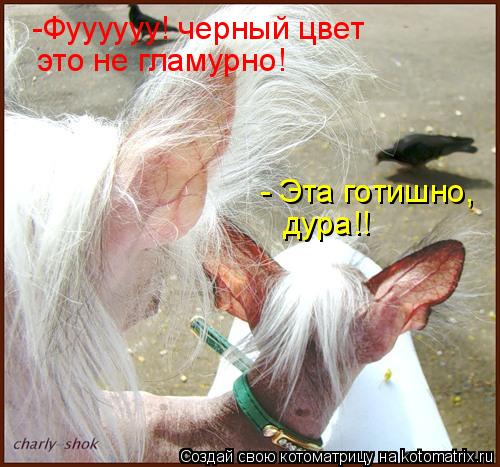 Котоматрица: -Фуууууу! черный цвет  это не гламурно! - Эта готишно, дура!!