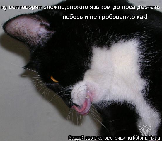 ну вот,говорят сложно,сложно языком до носа достать небось и не пробовали.о как!... Котоматрица: ну вот,говорят сложно,сложно языком до носа достать небось и не пробовали.о как!