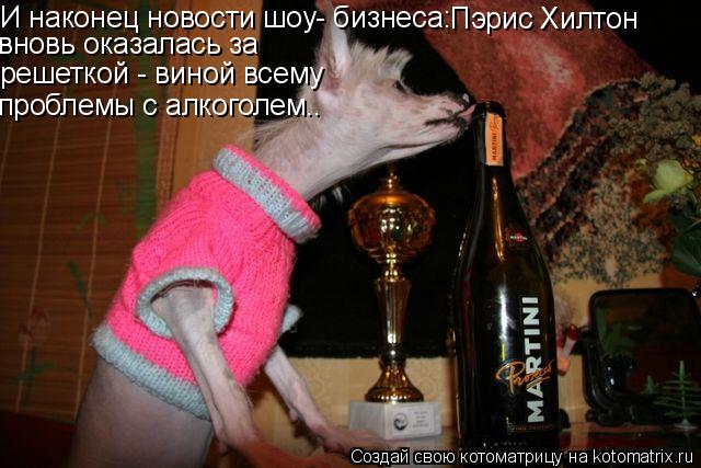 И наконец новости шоу- бизнеса: Пэрис Хилтон вновь оказалась за решеткой - виной всему проблемы с ал... Котоматрица: И наконец новости шоу- бизнеса: Пэрис Хилтон вновь оказалась за решеткой - виной всему проблемы с алкоголем..