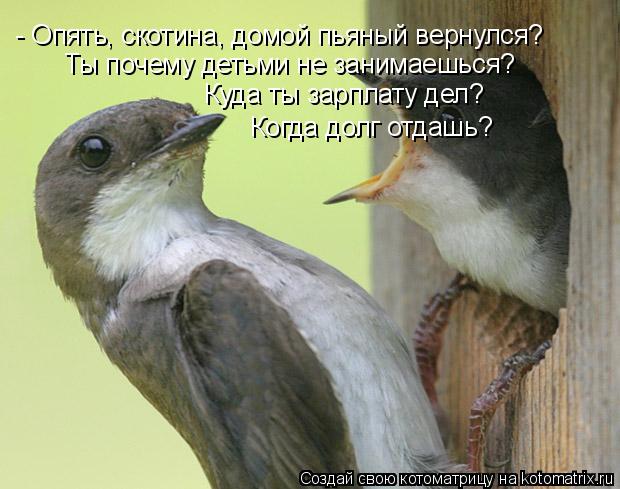 - Опять, скотина, домой пьяный вернулся? Ты почему детьми не занимаешься? Куда ты зарплату дел? Когда... Котоматрица: - Опять, скотина, домой пьяный вернулся? Ты почему детьми не занимаешься? Куда ты зарплату дел? Когда долг отдашь?