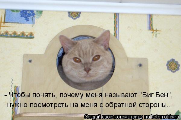 - Чтобы понять, почему меня называют "Биг Бен", нужно посмотреть на меня с обратной стороны...... Котоматрица: - Чтобы понять, почему меня называют "Биг Бен", нужно посмотреть на меня с обратной стороны...