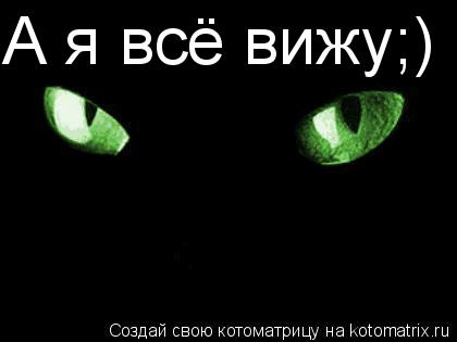 А я всё вижу;)... Котоматрица: А я всё вижу;)