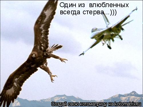 Один из влюбленных всегда стерва...)))... Котоматрица: Один из влюбленных всегда стерва...)))