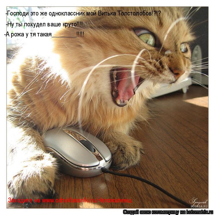 -Господи это же одноклассник мой Витька Толстолобов!?!? -Ну ты похудел ваше круто!!!! -А рожа у тя та... Котоматрица: -Господи это же одноклассник мой Витька Толстолобов!?!? -Ну ты похудел ваше круто!!!! -А рожа у тя такая________!!!!! Заходите на www.odnoklassniki.ru