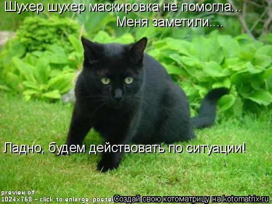 Шухер шухер маскировка не помогла... Меня заметили.... Ладно, будем действовать по ситуации!... Котоматрица: Шухер шухер маскировка не помогла... Меня заметили.... Ладно, будем действовать по ситуации!