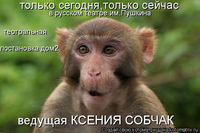только сегодня,только сейчас в русском театре им.Пушкина теотральная постановка дом2 ведущая КСЕНИЯ ... Котоматрица: только сегодня,только сейчас в русском театре им.Пушкина теотральная постановка дом2 ведущая КСЕНИЯ СОБЧАК