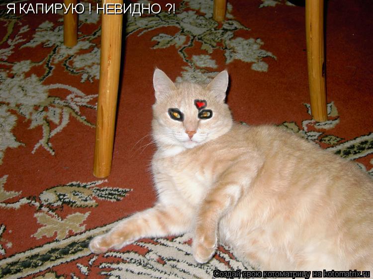 Я КАПИРУЮ ! НЕВИДНО ?!... Котоматрица: Я КАПИРУЮ ! НЕВИДНО ?!